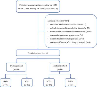 Preoperative Prediction of Microvascular Invasion in Hepatocellular Carcinoma via Multi-Parametric MRI Radiomics